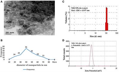 Engineered Nickel Oxide Nanoparticle Causes Substantial Physicochemical Perturbation in Plants